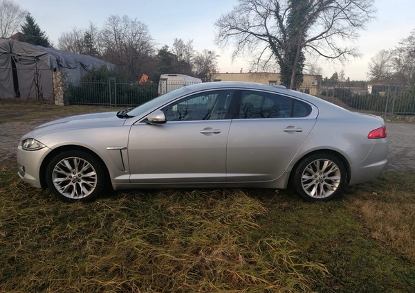 Jaguar XF cena 27900 przebieg: 220000, rok produkcji 2012 z Gubin małe 596